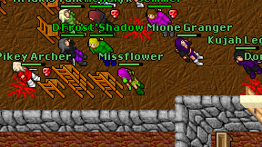 Missflower on screen