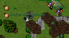 Master Lider Matador on screen