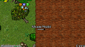 Sham Mubi on screen