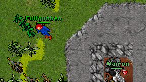 Fullgubben on screen