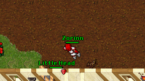 Zorinn on screen