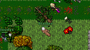 Blaider on screen