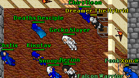 Gecko Slayer on screen