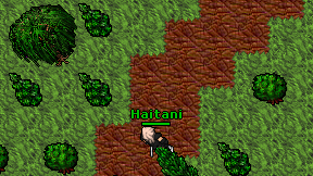Haitani on screen
