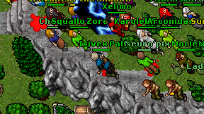 Isivex Pall on screen