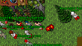 Karelka on screen