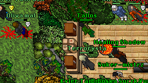 Healing Shadow on screen
