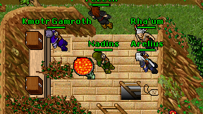 Nadins on screen