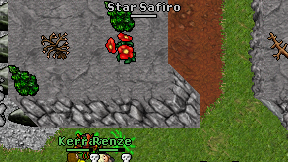Star Safiro on screen