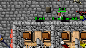 Illesk on screen