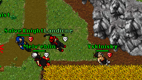 Landicne on screen