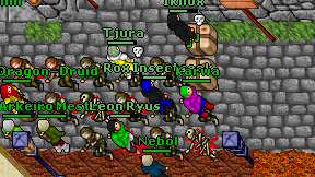 Rox Insectseek on screen
