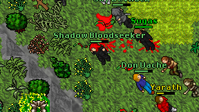 Shadow Bloodseeker on screen