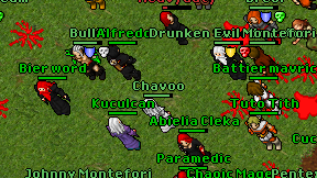Chavoo on screen