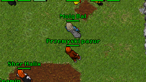 Molg Bal on screen