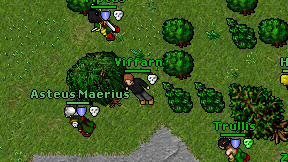Viffarn on screen