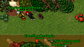 Tigoll Pelit on screen