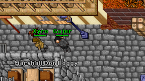 Gajer on screen
