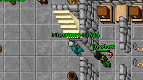 Niewinny Ninja on screen