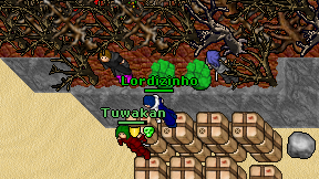 Lordizinho on screen