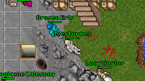 Icestormer on screen
