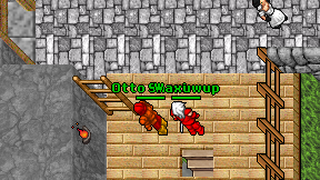 Waxuwup on screen
