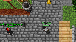 Wedii on screen