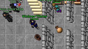Vizizer'Zizer on screen
