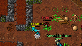 Ecranus on screen