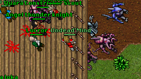 Undead'Mind on screen
