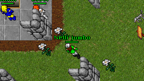 Nelli'jumbo on screen