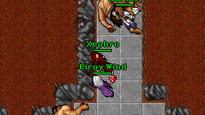 Xephro on screen
