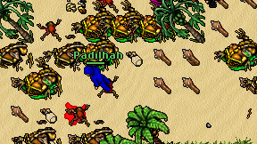 Padilhah on screen