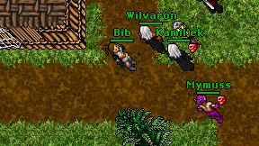 Bib on screen