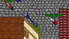Magic Husky on screen