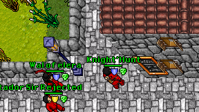 Knight'Hunt on screen
