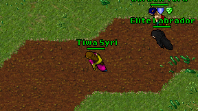 Tiwa Syri on screen