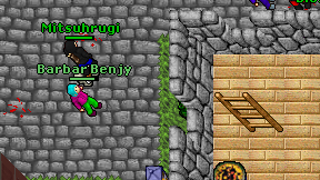 Barbar Benjy on screen