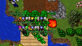 Druid Entrosity on screen