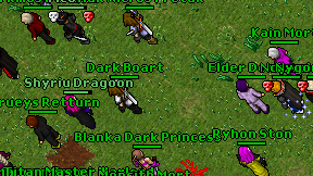 Shyriu Dragoon on screen