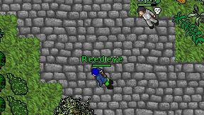 Reed eye on screen