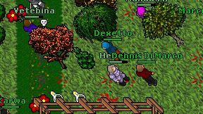 Dexetto on screen