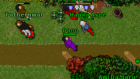 Danq on screen