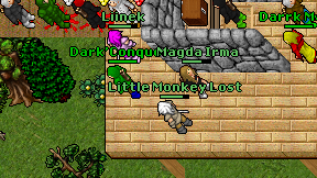 Little Monkey Lost on screen