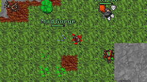 Mad Gorge on screen