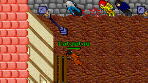Catautau on screen