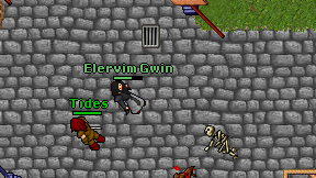 Elervim Gwin on screen