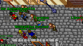 Farmino on screen