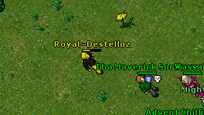 Royal-Destelloz on screen