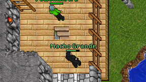 Macho Grande on screen